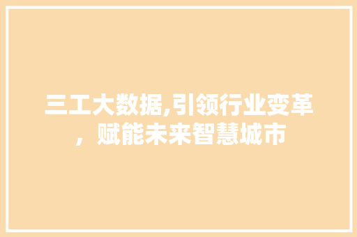 三工大数据,引领行业变革，赋能未来智慧城市