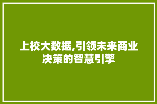 上校大数据,引领未来商业决策的智慧引擎