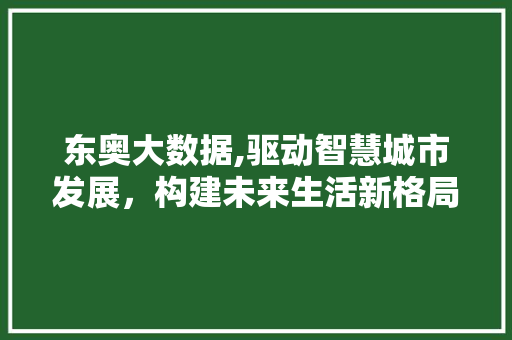 东奥大数据,驱动智慧城市发展，构建未来生活新格局