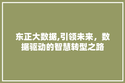 东正大数据,引领未来，数据驱动的智慧转型之路 AJAX