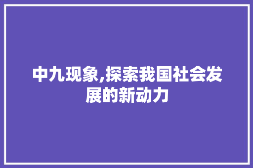 中九现象,探索我国社会发展的新动力