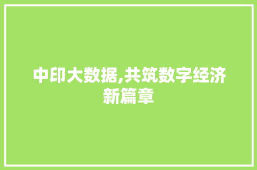 中印大数据,共筑数字经济新篇章