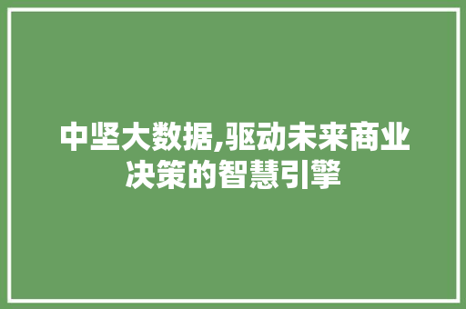 中坚大数据,驱动未来商业决策的智慧引擎