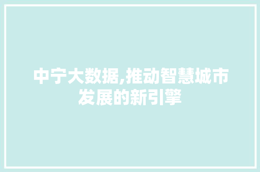 中宁大数据,推动智慧城市发展的新引擎