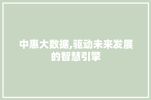 中惠大数据,驱动未来发展的智慧引擎