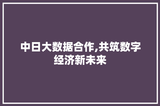 中日大数据合作,共筑数字经济新未来