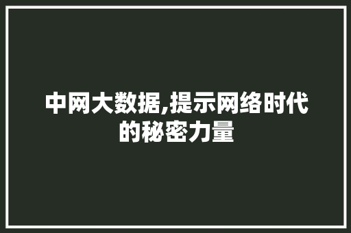 中网大数据,提示网络时代的秘密力量 Java