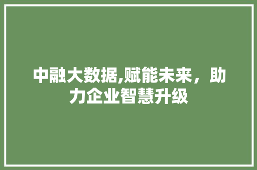 中融大数据,赋能未来，助力企业智慧升级 Python