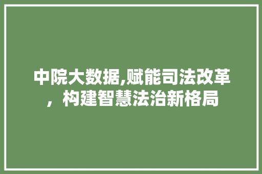 中院大数据,赋能司法改革，构建智慧法治新格局