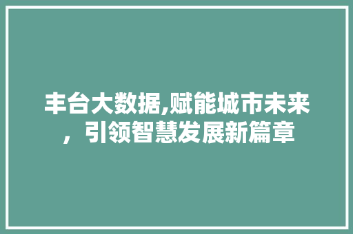 丰台大数据,赋能城市未来，引领智慧发展新篇章