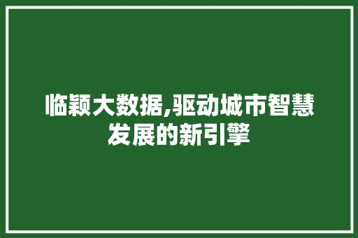 临颖大数据,驱动城市智慧发展的新引擎 GraphQL