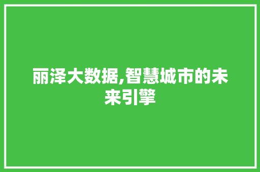 丽泽大数据,智慧城市的未来引擎 NoSQL