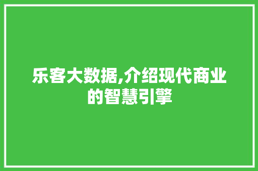 乐客大数据,介绍现代商业的智慧引擎