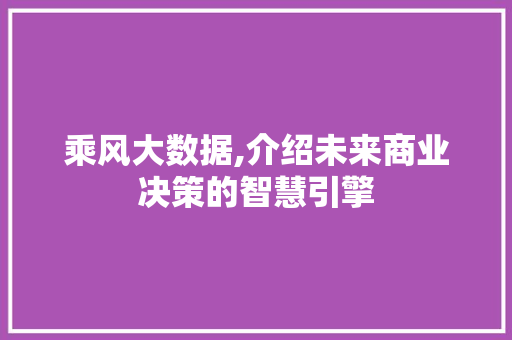 乘风大数据,介绍未来商业决策的智慧引擎 SQL