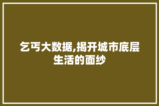 乞丐大数据,揭开城市底层生活的面纱