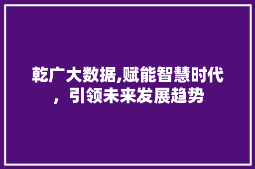 乾广大数据,赋能智慧时代，引领未来发展趋势