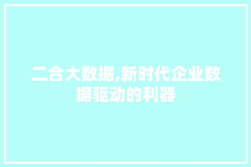 二合大数据,新时代企业数据驱动的利器