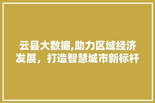 云县大数据,助力区域经济发展，打造智慧城市新标杆