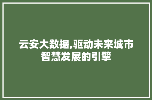 云安大数据,驱动未来城市智慧发展的引擎