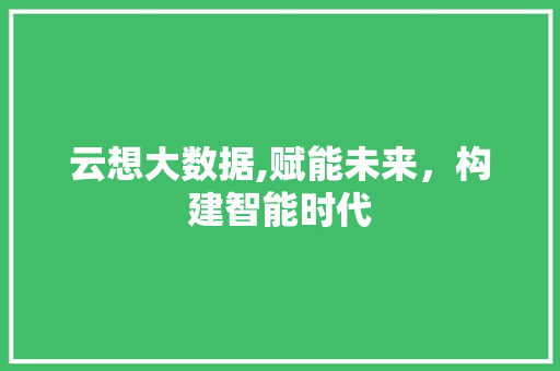 云想大数据,赋能未来，构建智能时代