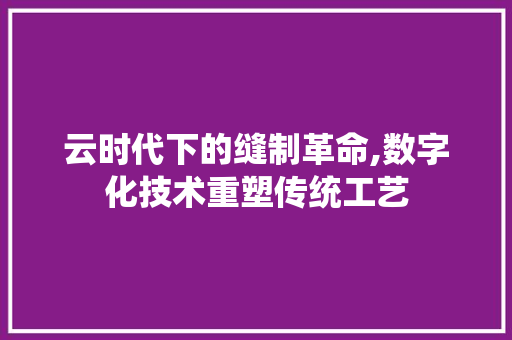 云时代下的缝制革命,数字化技术重塑传统工艺 Docker