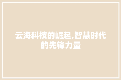 云海科技的崛起,智慧时代的先锋力量