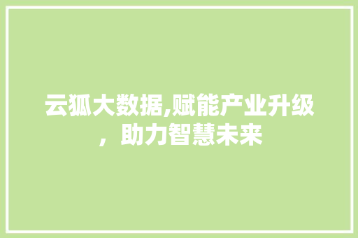 云狐大数据,赋能产业升级，助力智慧未来