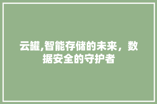 云罐,智能存储的未来，数据安全的守护者