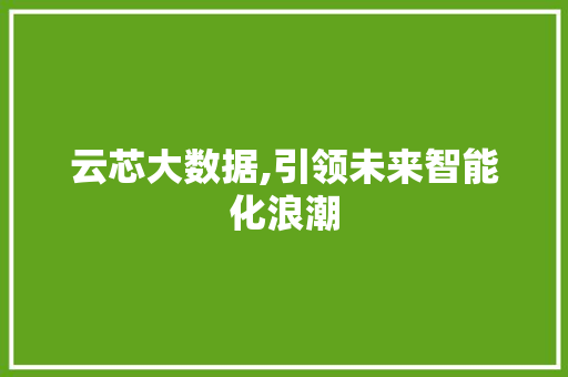 云芯大数据,引领未来智能化浪潮