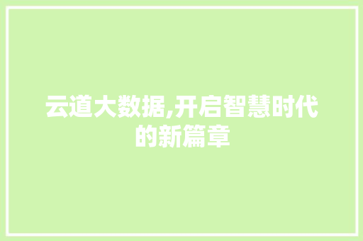 云道大数据,开启智慧时代的新篇章