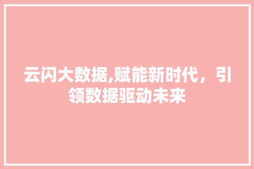 云闪大数据,赋能新时代，引领数据驱动未来