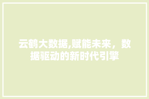 云鹤大数据,赋能未来，数据驱动的新时代引擎