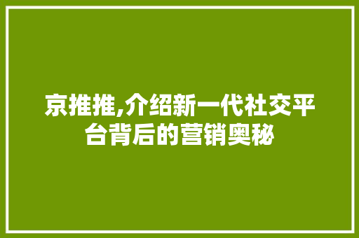 京推推,介绍新一代社交平台背后的营销奥秘