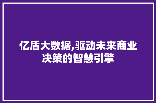 亿盾大数据,驱动未来商业决策的智慧引擎