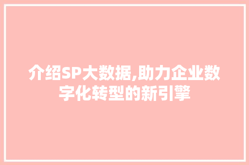 介绍SP大数据,助力企业数字化转型的新引擎