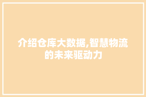 介绍仓库大数据,智慧物流的未来驱动力