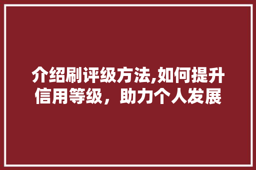 介绍刷评级方法,如何提升信用等级，助力个人发展 Ruby