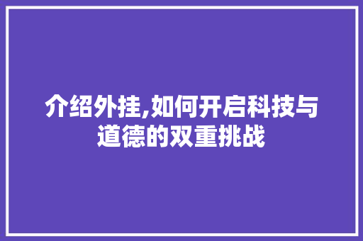 介绍外挂,如何开启科技与道德的双重挑战