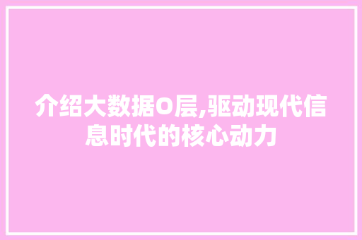 介绍大数据O层,驱动现代信息时代的核心动力