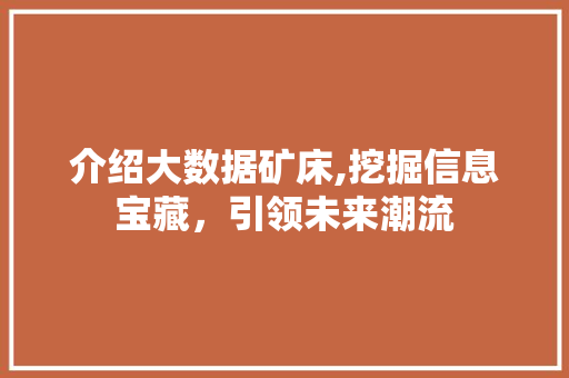 介绍大数据矿床,挖掘信息宝藏，引领未来潮流 Webpack