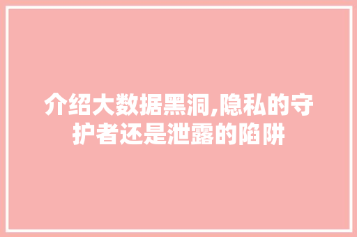 介绍大数据黑洞,隐私的守护者还是泄露的陷阱 Docker