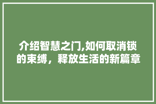 介绍智慧之门,如何取消锁的束缚，释放生活的新篇章