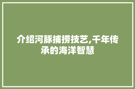 介绍河豚捕捞技艺,千年传承的海洋智慧