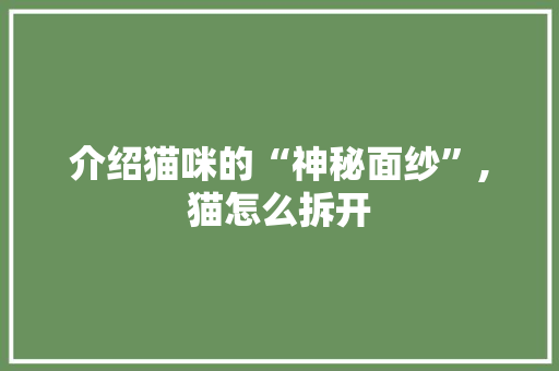 介绍猫咪的“神秘面纱”,猫怎么拆开 Webpack