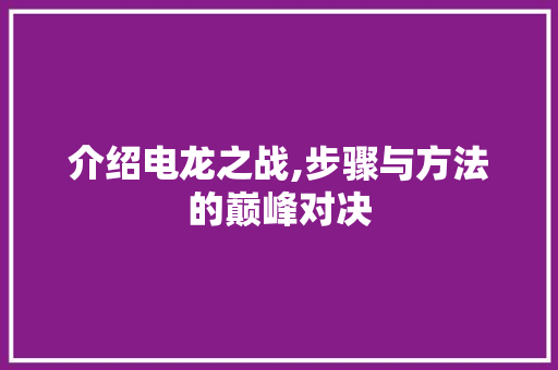 介绍电龙之战,步骤与方法的巅峰对决