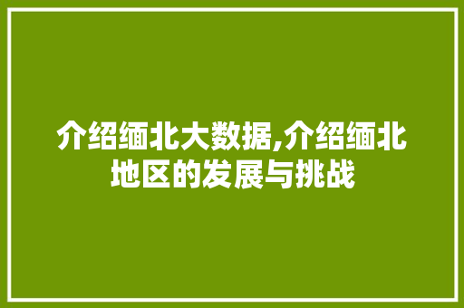 介绍缅北大数据,介绍缅北地区的发展与挑战