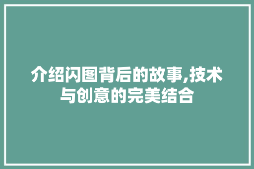 介绍闪图背后的故事,技术与创意的完美结合