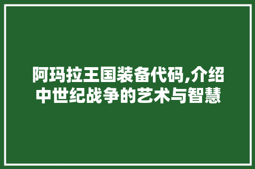 阿玛拉王国装备代码,介绍中世纪战争的艺术与智慧