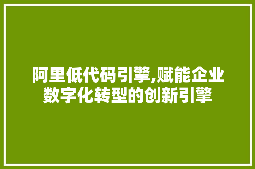 阿里低代码引擎,赋能企业数字化转型的创新引擎