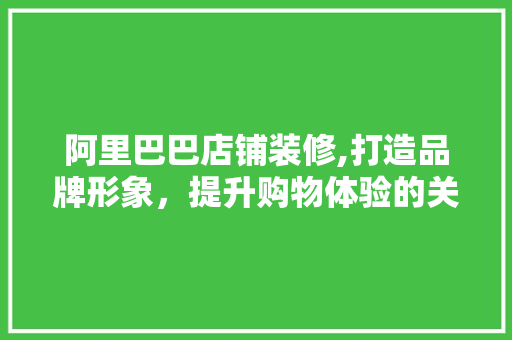 阿里巴巴店铺装修,打造品牌形象，提升购物体验的关键之路